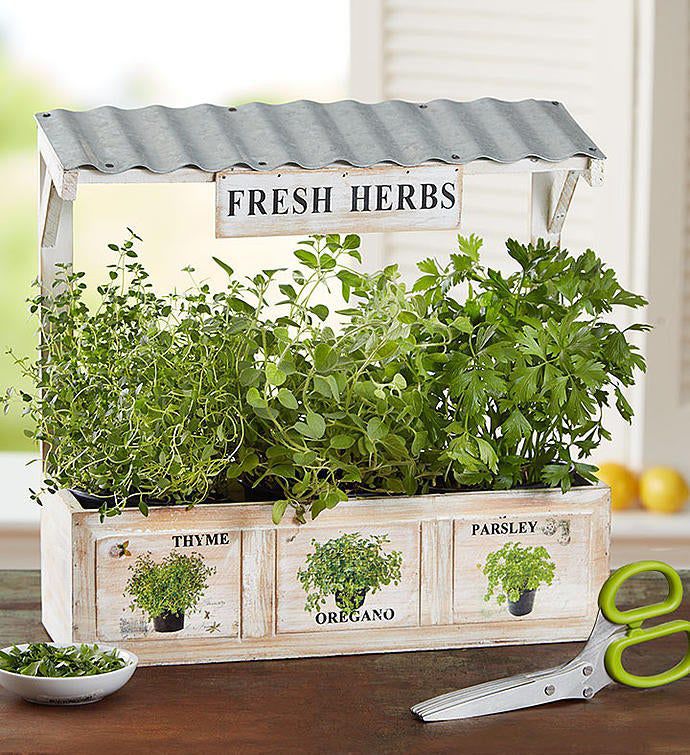 Herb garden
